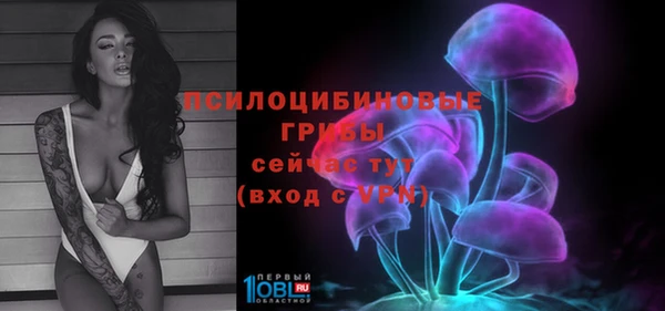 a pvp Каменногорск