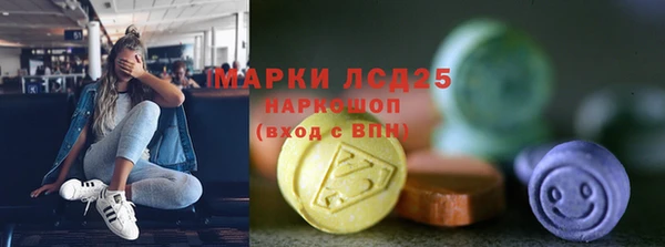 a pvp Каменногорск