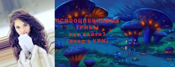 a pvp Каменногорск