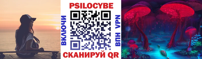 Купить  Бикин  Псилоцибиновые грибы Magic Shrooms 