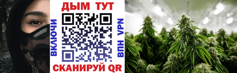 Купить где  Бикин  Бошки Шишки Amnesia 
